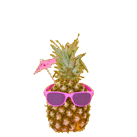 Palm Tree Fun Sticker by Gushers