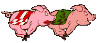 texas pig STICKER