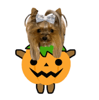 はろおふかいすたんぷ Sticker