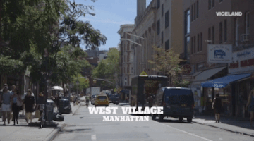 viceland GIF by The Pizza Show