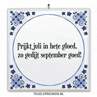 Humor Wijsheid GIF by Tegelspreuken.nl