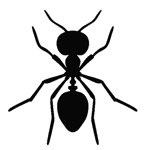 Fashion Week Sunglasses Sticker by Marcel Katz Dalí / The Art Plug