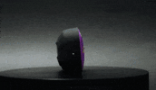 Party Fox GIF by VeeFriends