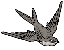 Bird Tattoo Sticker by Relo GIFS