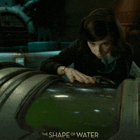 shocked sally hawkins GIF by 20th Century Fox Home Entertainment