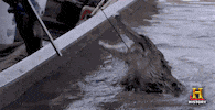 mean girls reaction gif GIF