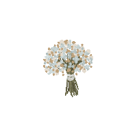 tmodernbride flowers wedding plants bride Sticker