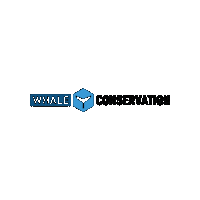 Whale Sticker by Conservation Diver