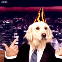 Happy Birthday Party GIF