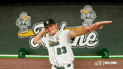 College Baseball Frankie GIF by GreenWave