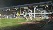celebrate loftus road GIF by QPR FC