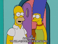 homer simpson GIF