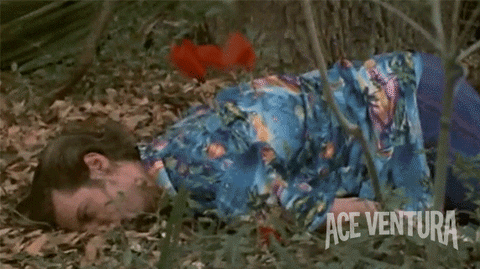 Tired Jim Carrey GIF by Ace Ventura