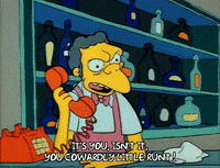 Season 1 Episode 6 GIF by The Simpsons