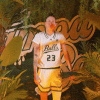 Womens Basketball GIF by USF Athletics