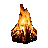 summer fire STICKER by imoji