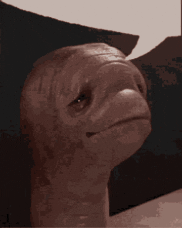 Earthworm GIF