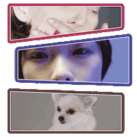 dog fashion Sticker by CATTURA Production