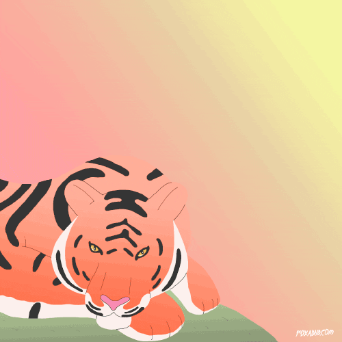 New York Fox GIF by Animation Domination High-Def