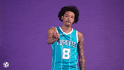 Basketball No GIF by Charlotte Hornets