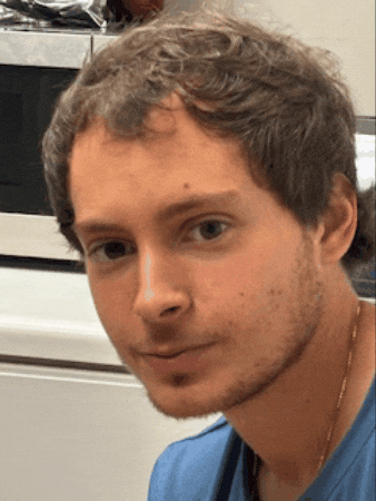 francescogurnari giphygifmaker giphyattribution GIF