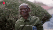 GIF by Showmax