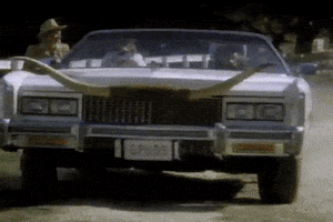 spuds mackenzie dog GIF