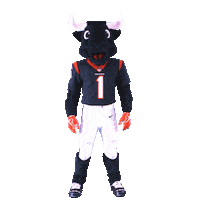 Mascot Salute Sticker by Houston Texans