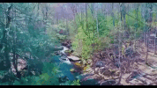 connecticut GIF