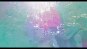 connecticut GIF
