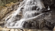 connecticut GIF