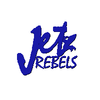 JetRebels jetski pwc aquabike seadoolife Sticker
