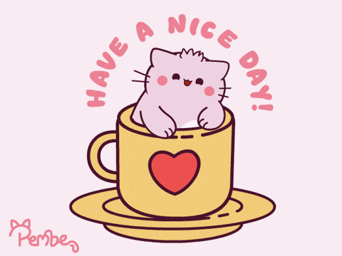 Good Morning Cat GIF by Pembe