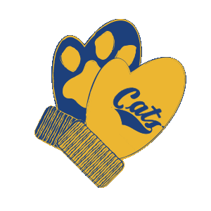 MontanaState giphyupload cats clapping cheering Sticker