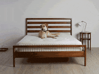 ParachuteHome  GIF