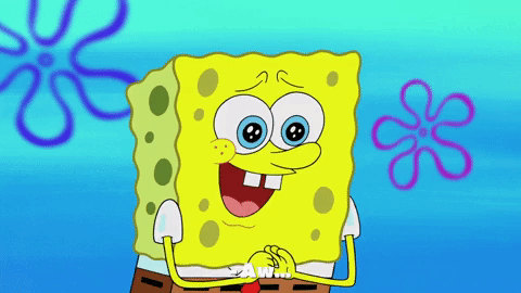 season 9 GIF by SpongeBob SquarePants