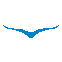 HOKARacer sports fitness blue running Sticker