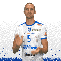 slepskmalowsuwalki sport clap clapping volleyball GIF