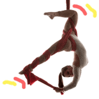 Aerialsilks Tecido Acrobatico Sticker by Circusfitbr
