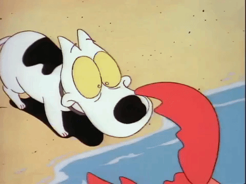 rockos modern life nicksplat GIF