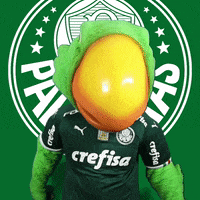 Palmeiras soccer show top futebol GIF