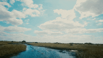 kurt cobain GIF by SideOneDummy Records