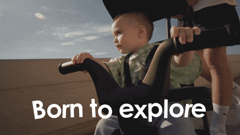 Summer Time Cute Baby GIF by Doona™ - Parenting Made Simple