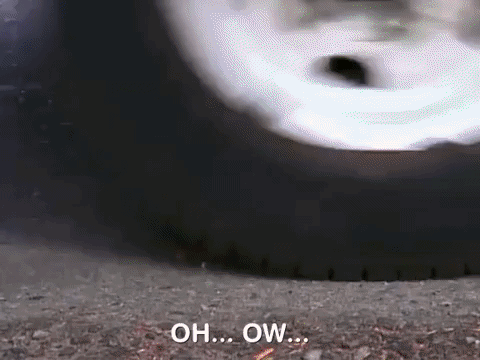 action league nicksplat GIF