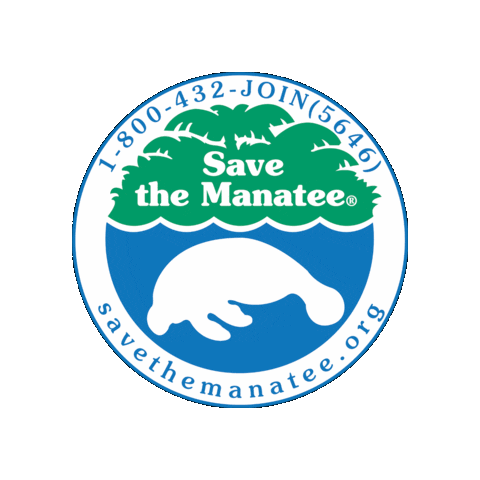 SaveTheManateeClub giphygifmaker manatee save the manatee club save the manatees Sticker