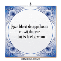 Humor Wijsheid Sticker by Tegelspreuken.nl