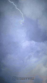 Buzz GIF
