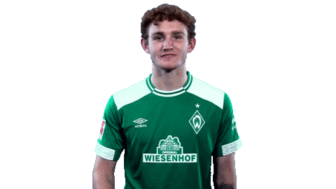 bundesliga wink Sticker by SV Werder Bremen