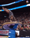 Simone Biles Sport GIF by Team USA