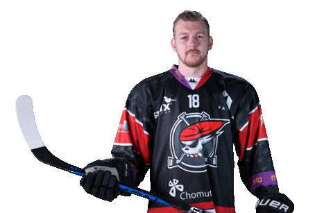 Hokej Sticker by Piráti Chomutov